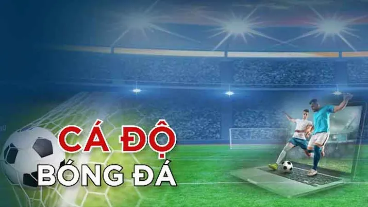 Khám Phá Cá Cược Bóng Đá VVVWin Đỉnh Cao Thắng Lớn Hấp Dẫn