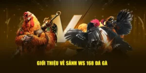 Hướng Dẫn Chơi Đá Gà WS168 Tại VVVWin Thắng Lớn Kịch Tính