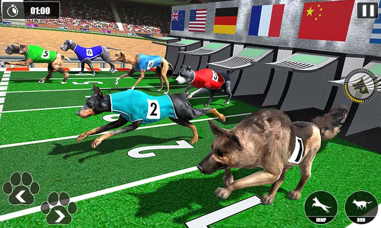 Bí Quyết Chinh Phục Game Nhanh Đua Chó Tại VVVWin Thắng Lớn Kịch Tính